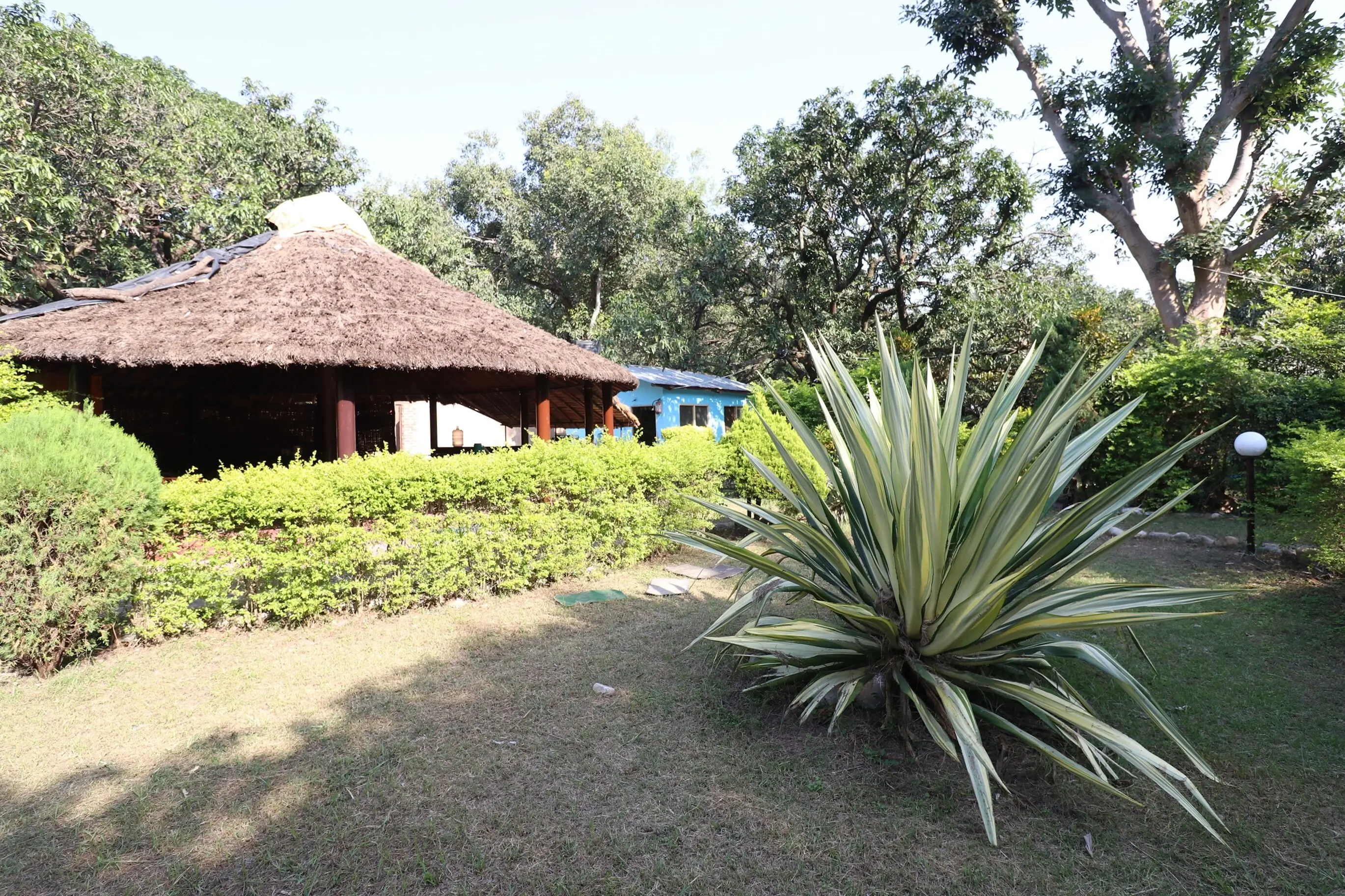 Jungle Paradise Retreat