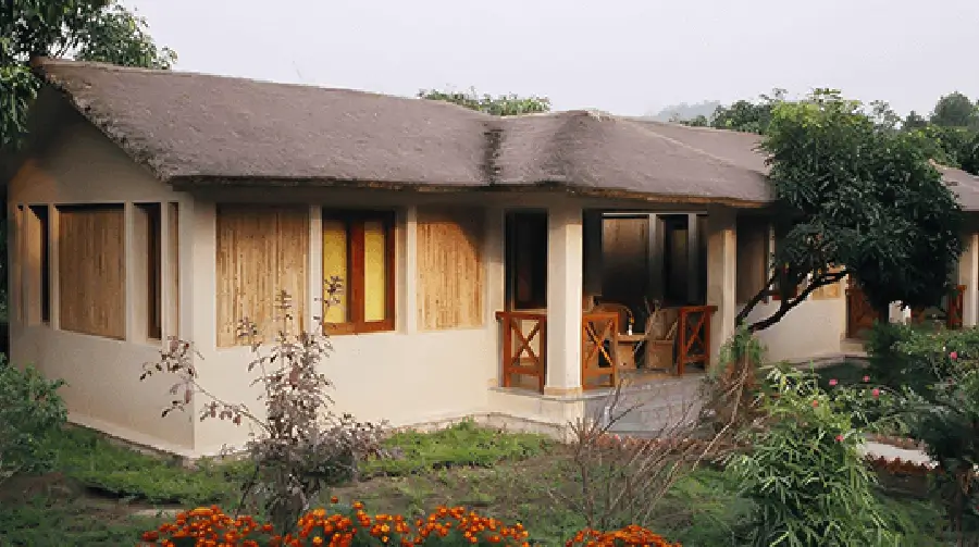 tiger-camp-jungle-lodge